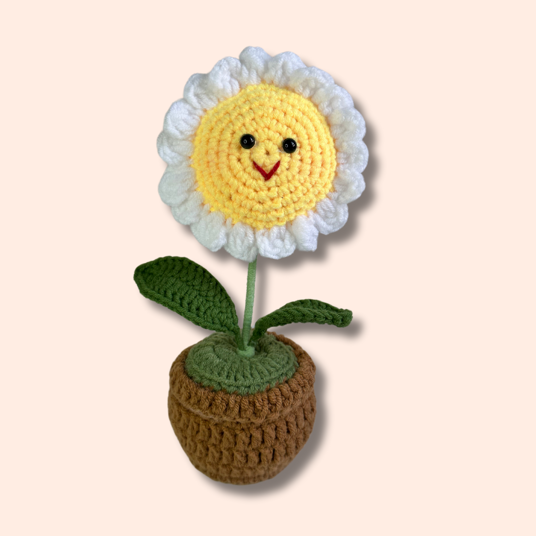 Crocheted Smiling Daisy Pot
