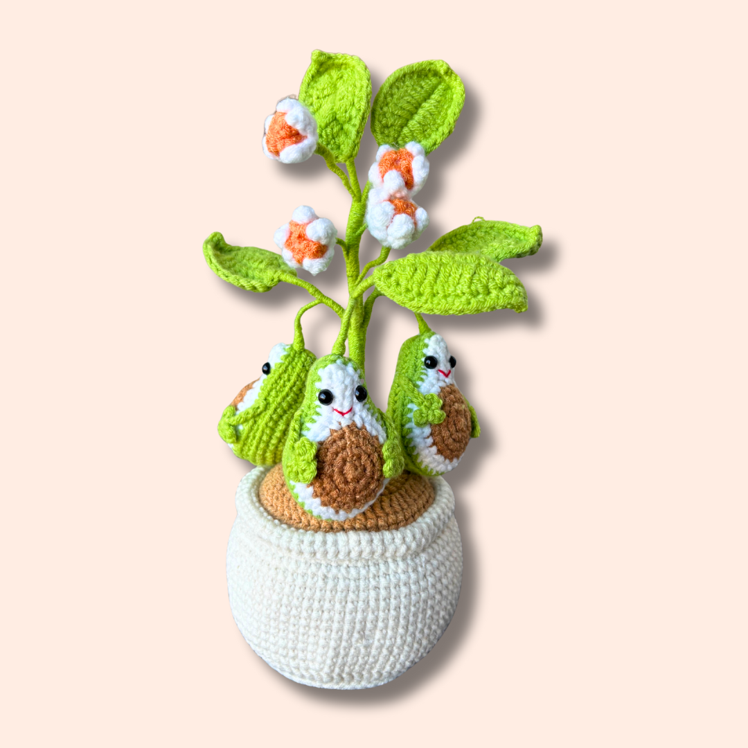 Super cute handmade crocheted avocado plant
