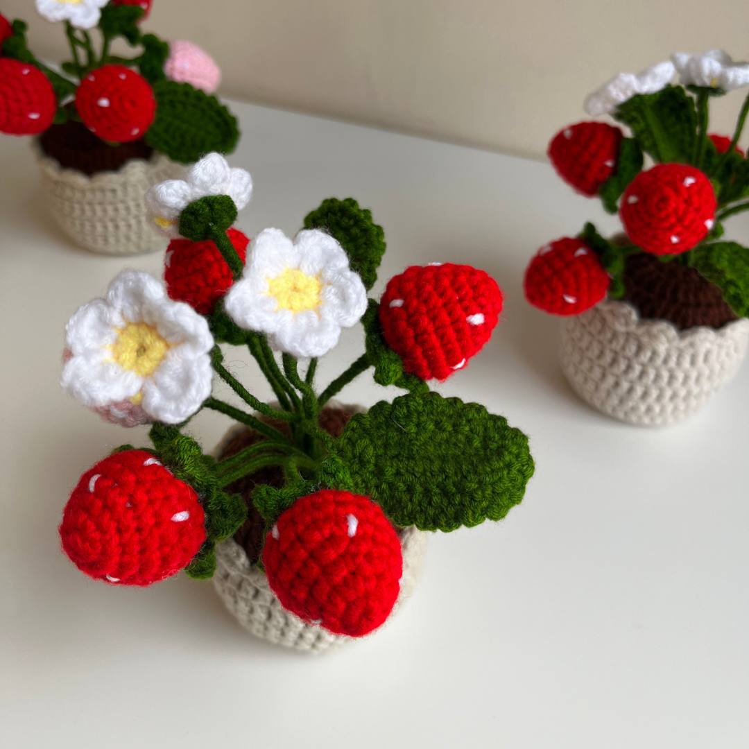 Crocheted Strawberry Pot
