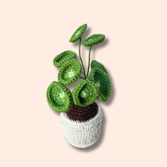 Handmade crocheted Money Plant