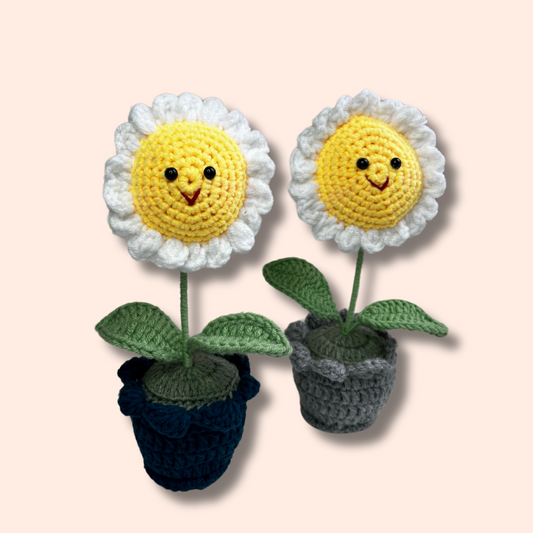 Crocheted Smiling Daisy Pot